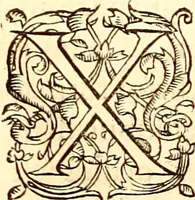 Picture 100 of 837 from Gvlielmi Rondeletii ... Libri de piscibus marinis, in quibus veræ piscium effigies expressæ sunt .. (1554), leaf 171