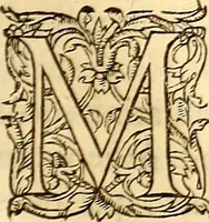 An illustration from Gvlielmi Rondeletii ... Libri de piscibus marinis, in quibus veræ piscium effigies expressæ sunt .. (1554)