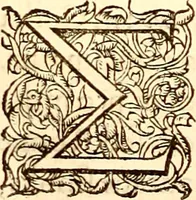 Picture 104 of 837 from Gvlielmi Rondeletii ... Libri de piscibus marinis, in quibus veræ piscium effigies expressæ sunt .. (1554), leaf 173