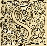 An illustration from Gvlielmi Rondeletii ... Libri de piscibus marinis, in quibus veræ piscium effigies expressæ sunt .. (1554)