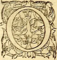 Picture 108 of 837 from Gvlielmi Rondeletii ... Libri de piscibus marinis, in quibus veræ piscium effigies expressæ sunt .. (1554), leaf 176