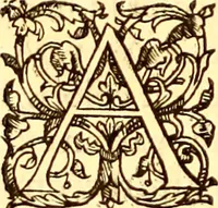 An illustration from Gvlielmi Rondeletii ... Libri de piscibus marinis, in quibus veræ piscium effigies expressæ sunt .. (1554)