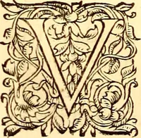 An illustration from Gvlielmi Rondeletii ... Libri de piscibus marinis, in quibus veræ piscium effigies expressæ sunt .. (1554)