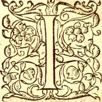 An illustration from Gvlielmi Rondeletii ... Libri de piscibus marinis, in quibus veræ piscium effigies expressæ sunt .. (1554)