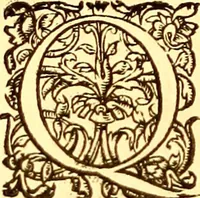 An illustration from Gvlielmi Rondeletii ... Libri de piscibus marinis, in quibus veræ piscium effigies expressæ sunt .. (1554)