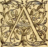 An illustration from Gvlielmi Rondeletii ... Libri de piscibus marinis, in quibus veræ piscium effigies expressæ sunt .. (1554)