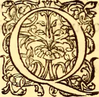 Picture 144 of 837 from Gvlielmi Rondeletii ... Libri de piscibus marinis, in quibus veræ piscium effigies expressæ sunt .. (1554), leaf 211