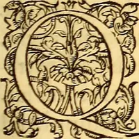 An illustration from Gvlielmi Rondeletii ... Libri de piscibus marinis, in quibus veræ piscium effigies expressæ sunt .. (1554)