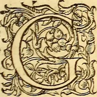 An illustration from Gvlielmi Rondeletii ... Libri de piscibus marinis, in quibus veræ piscium effigies expressæ sunt .. (1554)
