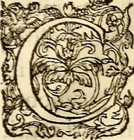 An illustration from Gvlielmi Rondeletii ... Libri de piscibus marinis, in quibus veræ piscium effigies expressæ sunt .. (1554)
