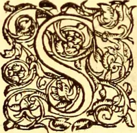 An illustration from Gvlielmi Rondeletii ... Libri de piscibus marinis, in quibus veræ piscium effigies expressæ sunt .. (1554)