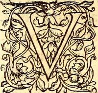 An illustration from Gvlielmi Rondeletii ... Libri de piscibus marinis, in quibus veræ piscium effigies expressæ sunt .. (1554)