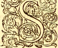 Picture 165 of 837 from Gvlielmi Rondeletii ... Libri de piscibus marinis, in quibus veræ piscium effigies expressæ sunt .. (1554), leaf 233