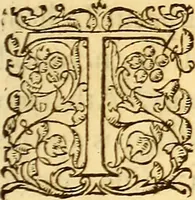 An illustration from Gvlielmi Rondeletii ... Libri de piscibus marinis, in quibus veræ piscium effigies expressæ sunt .. (1554)