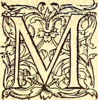 An illustration from Gvlielmi Rondeletii ... Libri de piscibus marinis, in quibus veræ piscium effigies expressæ sunt .. (1554)