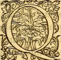 An illustration from Gvlielmi Rondeletii ... Libri de piscibus marinis, in quibus veræ piscium effigies expressæ sunt .. (1554)