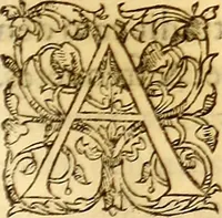 An illustration from Gvlielmi Rondeletii ... Libri de piscibus marinis, in quibus veræ piscium effigies expressæ sunt .. (1554)