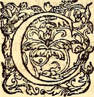 An illustration from Gvlielmi Rondeletii ... Libri de piscibus marinis, in quibus veræ piscium effigies expressæ sunt .. (1554)