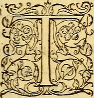Picture 185 of 837 from Gvlielmi Rondeletii ... Libri de piscibus marinis, in quibus veræ piscium effigies expressæ sunt .. (1554), leaf 252