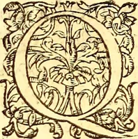 Picture 191 of 837 from Gvlielmi Rondeletii ... Libri de piscibus marinis, in quibus veræ piscium effigies expressæ sunt .. (1554), leaf 257