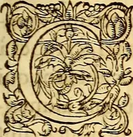 An illustration from Gvlielmi Rondeletii ... Libri de piscibus marinis, in quibus veræ piscium effigies expressæ sunt .. (1554)