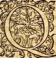 An illustration from Gvlielmi Rondeletii ... Libri de piscibus marinis, in quibus veræ piscium effigies expressæ sunt .. (1554)