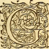 An illustration from Gvlielmi Rondeletii ... Libri de piscibus marinis, in quibus veræ piscium effigies expressæ sunt .. (1554)