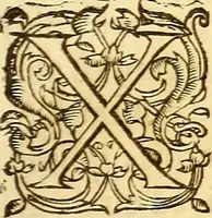 Picture 201 of 837 from Gvlielmi Rondeletii ... Libri de piscibus marinis, in quibus veræ piscium effigies expressæ sunt .. (1554), leaf 270