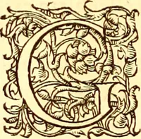 Picture 204 of 837 from Gvlielmi Rondeletii ... Libri de piscibus marinis, in quibus veræ piscium effigies expressæ sunt .. (1554), leaf 273