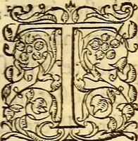 An illustration from Gvlielmi Rondeletii ... Libri de piscibus marinis, in quibus veræ piscium effigies expressæ sunt .. (1554)