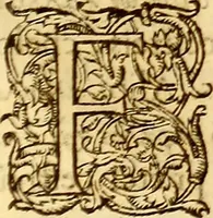 An illustration from Gvlielmi Rondeletii ... Libri de piscibus marinis, in quibus veræ piscium effigies expressæ sunt .. (1554)