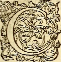 An illustration from Gvlielmi Rondeletii ... Libri de piscibus marinis, in quibus veræ piscium effigies expressæ sunt .. (1554)