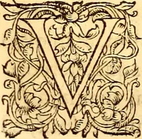 Picture 214 of 837 from Gvlielmi Rondeletii ... Libri de piscibus marinis, in quibus veræ piscium effigies expressæ sunt .. (1554), leaf 281