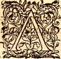 An illustration from Gvlielmi Rondeletii ... Libri de piscibus marinis, in quibus veræ piscium effigies expressæ sunt .. (1554)