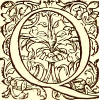 Picture 16 of 837 from Gvlielmi Rondeletii ... Libri de piscibus marinis, in quibus veræ piscium effigies expressæ sunt .. (1554), leaf 29