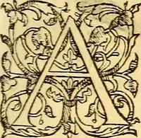 An illustration from Gvlielmi Rondeletii ... Libri de piscibus marinis, in quibus veræ piscium effigies expressæ sunt .. (1554)