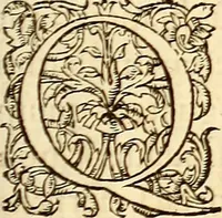 Picture 17 of 837 from Gvlielmi Rondeletii ... Libri de piscibus marinis, in quibus veræ piscium effigies expressæ sunt .. (1554), leaf 30
