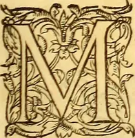 Picture 231 of 837 from Gvlielmi Rondeletii ... Libri de piscibus marinis, in quibus veræ piscium effigies expressæ sunt .. (1554), leaf 300