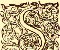 An illustration from Gvlielmi Rondeletii ... Libri de piscibus marinis, in quibus veræ piscium effigies expressæ sunt .. (1554)