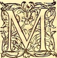 Picture 241 of 837 from Gvlielmi Rondeletii ... Libri de piscibus marinis, in quibus veræ piscium effigies expressæ sunt .. (1554), leaf 309