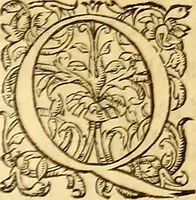 An illustration from Gvlielmi Rondeletii ... Libri de piscibus marinis, in quibus veræ piscium effigies expressæ sunt .. (1554)