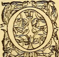 An illustration from Gvlielmi Rondeletii ... Libri de piscibus marinis, in quibus veræ piscium effigies expressæ sunt .. (1554)