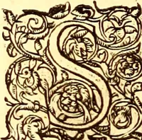 An illustration from Gvlielmi Rondeletii ... Libri de piscibus marinis, in quibus veræ piscium effigies expressæ sunt .. (1554)