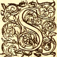 Picture 277 of 837 from Gvlielmi Rondeletii ... Libri de piscibus marinis, in quibus veræ piscium effigies expressæ sunt .. (1554), leaf 341