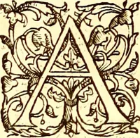 An illustration from Gvlielmi Rondeletii ... Libri de piscibus marinis, in quibus veræ piscium effigies expressæ sunt .. (1554)