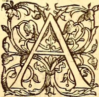 Picture 296 of 837 from Gvlielmi Rondeletii ... Libri de piscibus marinis, in quibus veræ piscium effigies expressæ sunt .. (1554), leaf 361