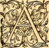 An illustration from Gvlielmi Rondeletii ... Libri de piscibus marinis, in quibus veræ piscium effigies expressæ sunt .. (1554)