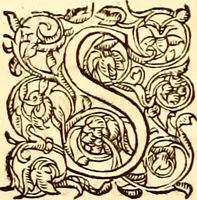 An illustration from Gvlielmi Rondeletii ... Libri de piscibus marinis, in quibus veræ piscium effigies expressæ sunt .. (1554)