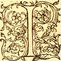Picture 310 of 837 from Gvlielmi Rondeletii ... Libri de piscibus marinis, in quibus veræ piscium effigies expressæ sunt .. (1554), leaf 371
