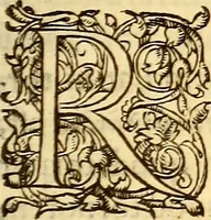 An illustration from Gvlielmi Rondeletii ... Libri de piscibus marinis, in quibus veræ piscium effigies expressæ sunt .. (1554)